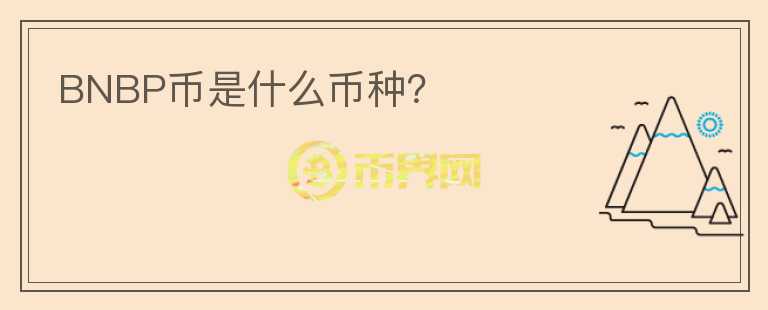 BNBP幣是什么幣種？