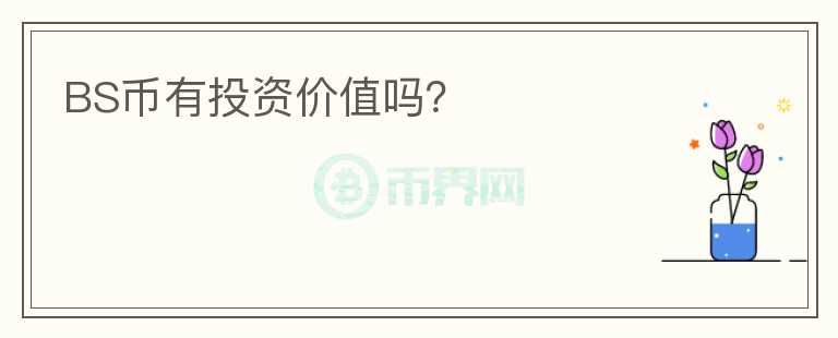 BS幣有投資價(jià)值嗎？