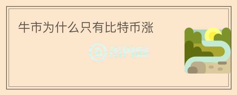牛市為什么只有比特幣漲