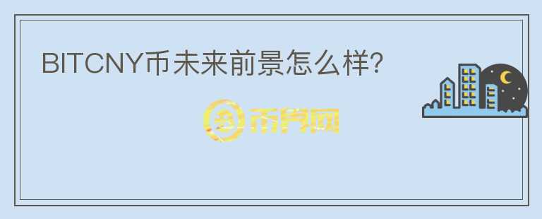 BITCNY幣未來前景怎么樣？