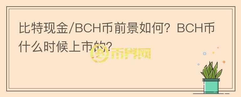 比特現(xiàn)金/BCH幣前景如何？BCH幣什么時候上市的？