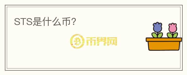 STS是什么幣？