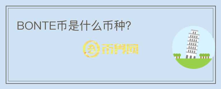 BONTE幣是什么幣種？