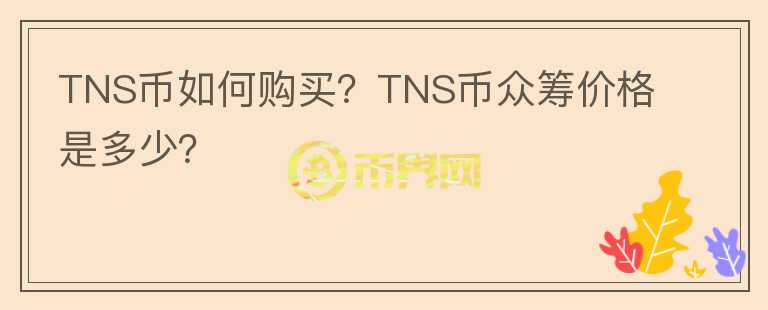 TNS幣如何購買？TNS幣眾籌價格是多少？