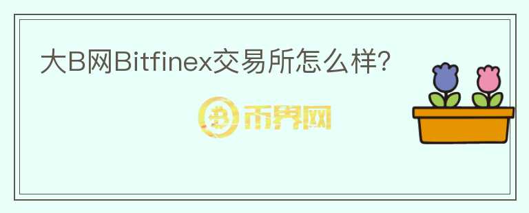 大B網(wǎng)Bitfinex交易所怎么樣？