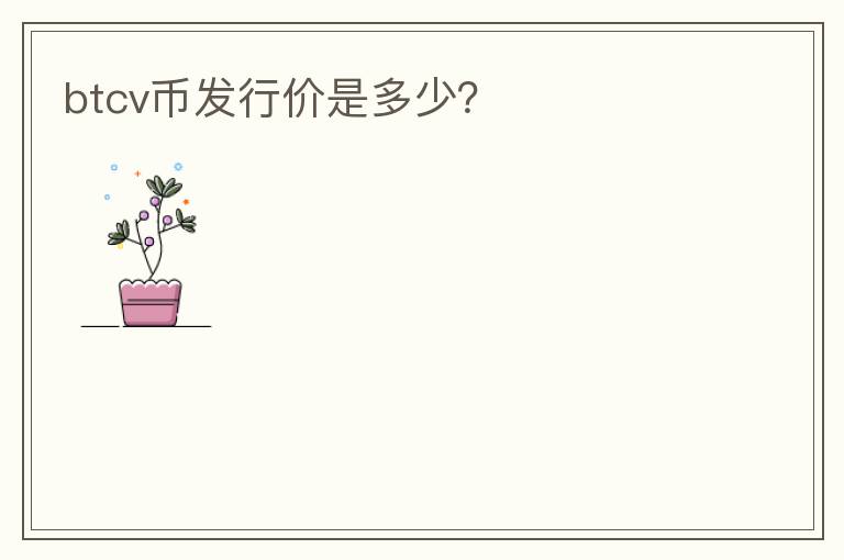 btcv幣發(fā)行價(jià)是多少？