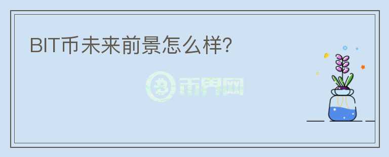 BIT幣未來前景怎么樣？