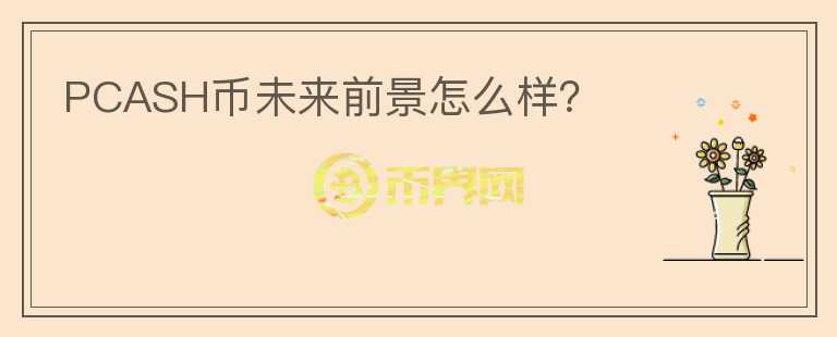 PCASH幣未來前景怎么樣？