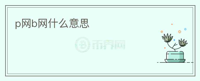 p網(wǎng)b網(wǎng)什么意思