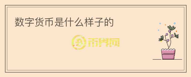數字貨幣是什么樣子的