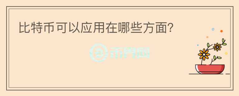 比特幣可以應(yīng)用在哪些方面？