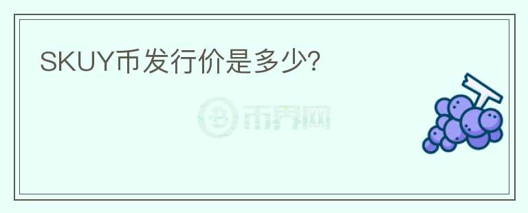SKUY幣發(fā)行價是多少？