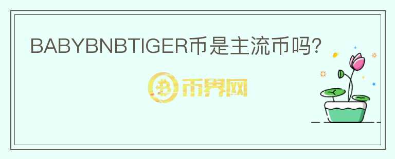 BABYBNBTIGER幣是主流幣嗎？