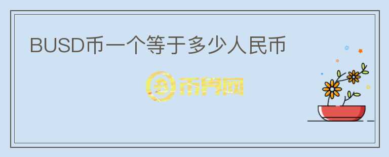 BUSD幣一個(gè)等于多少人民幣
