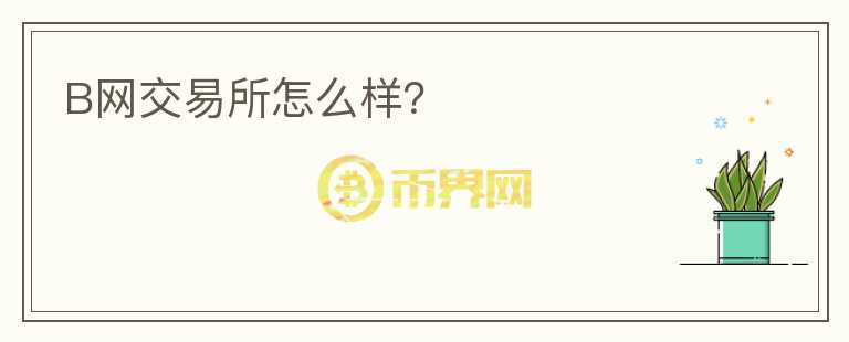 B網(wǎng)交易所怎么樣？