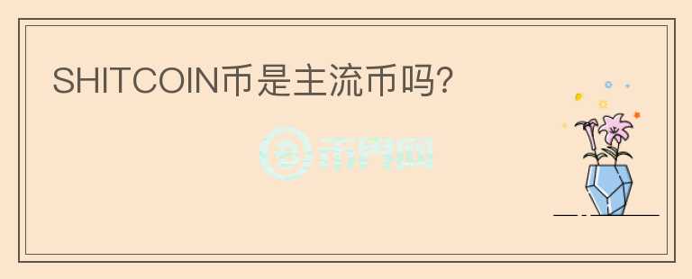 SHITCOIN幣是主流幣嗎？