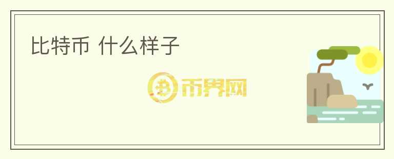 比特幣 什么樣子