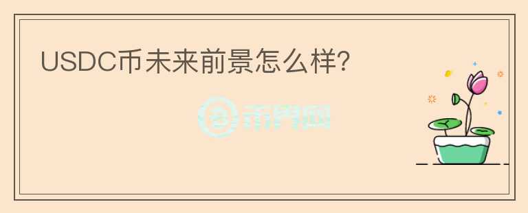 USDC幣未來前景怎么樣？