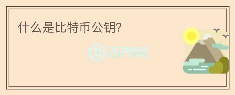 什么是比特幣公鑰？