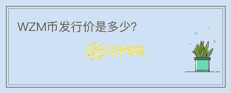 WZM幣發(fā)行價(jià)是多少？