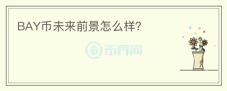 BAY幣未來前景怎么樣？