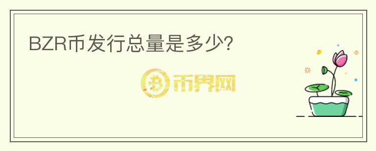 BZR幣發(fā)行總量是多少？