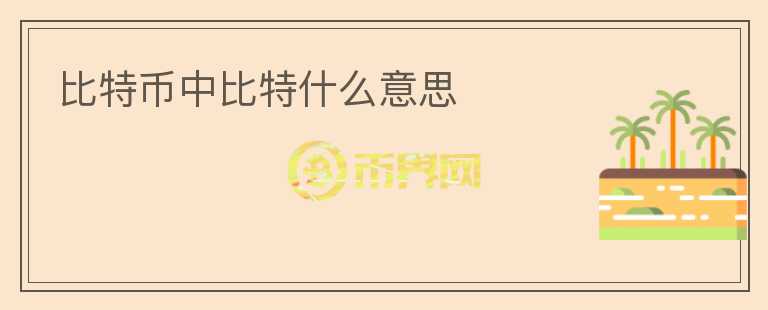 比特幣中比特什么意思