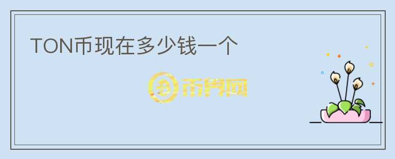 TON幣現(xiàn)在多少錢一個(gè)