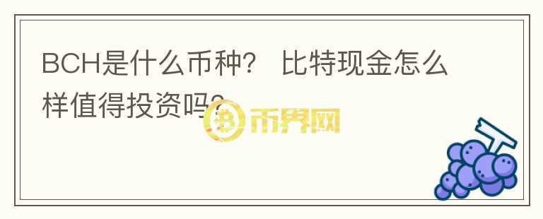 BCH是什么幣種？ 比特現(xiàn)金怎么樣值得投資嗎？