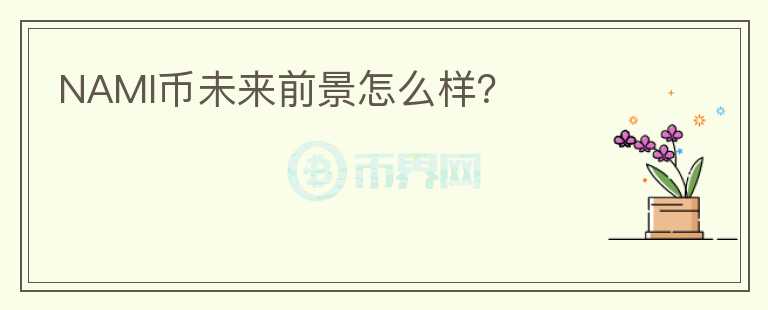 NAMI幣未來前景怎么樣？