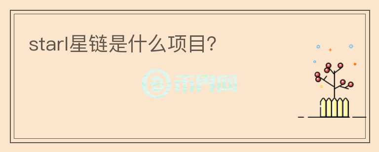 starl星鏈是什么項目？