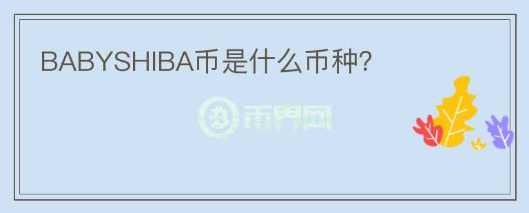 BABYSHIBA幣是什么幣種？