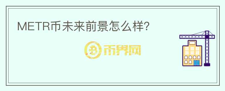 METR幣未來前景怎么樣？