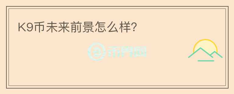 K9幣未來(lái)前景怎么樣？