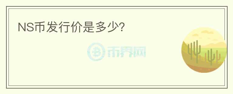 NS幣發(fā)行價(jià)是多少？