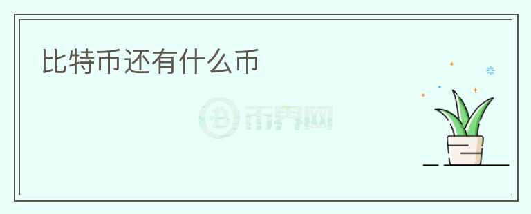 比特幣還有什么幣