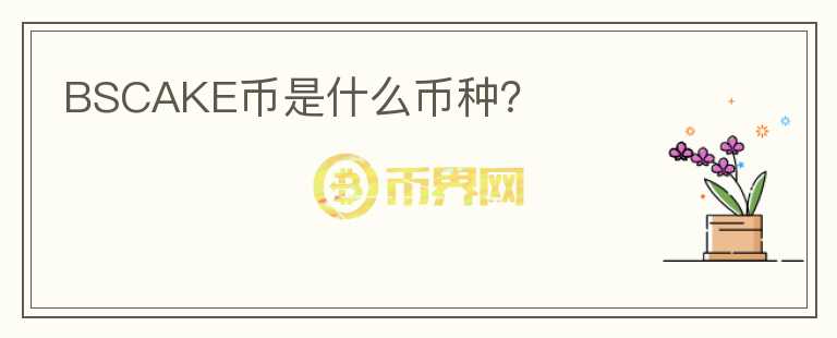 BSCAKE幣是什么幣種？