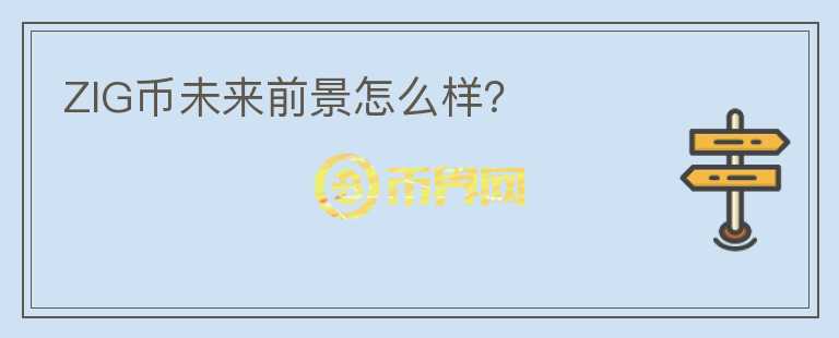 ZIG幣未來前景怎么樣？