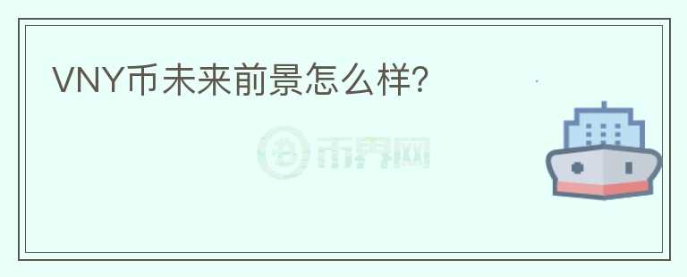 VNY幣未來(lái)前景怎么樣？