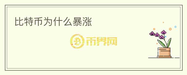 比特幣為什么暴漲