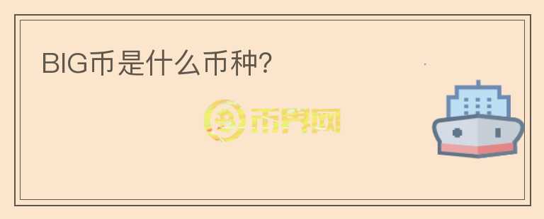 BIG幣是什么幣種？