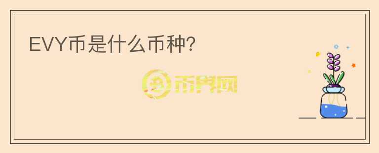 EVY幣是什么幣種？