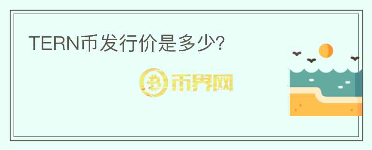 TERN幣發(fā)行價(jià)是多少？
