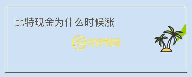 比特現(xiàn)金為什么時候漲
