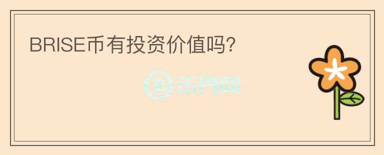 BRISE幣有投資價值嗎？