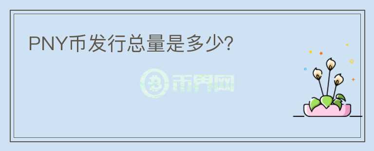 PNY幣發(fā)行總量是多少？